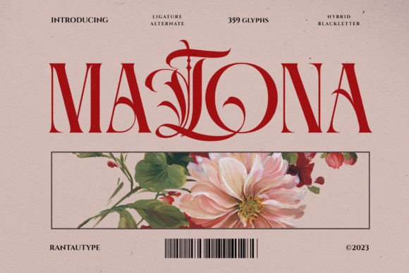 Matona: A Bold Serif Font That Elevates Small Business Branding